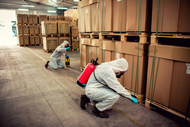Best Best Pest Control Near Me  in Taft Mosswood, CA