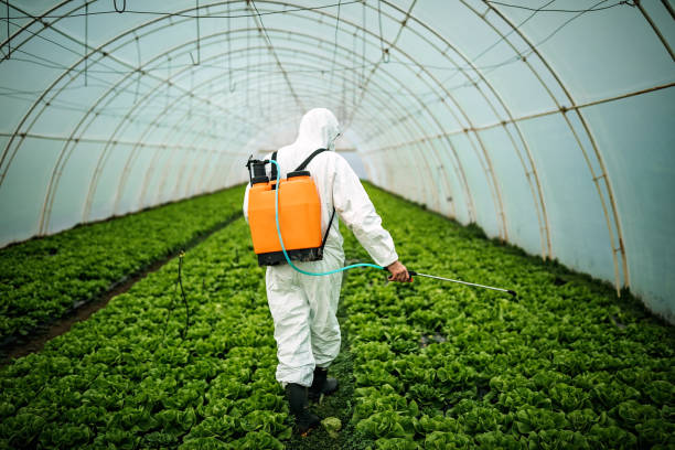 Best Pest Control for Homes  in Taft Mosswood, CA