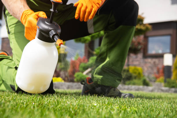 Best Commercial Pest Control Services  in Taft Mosswood, CA