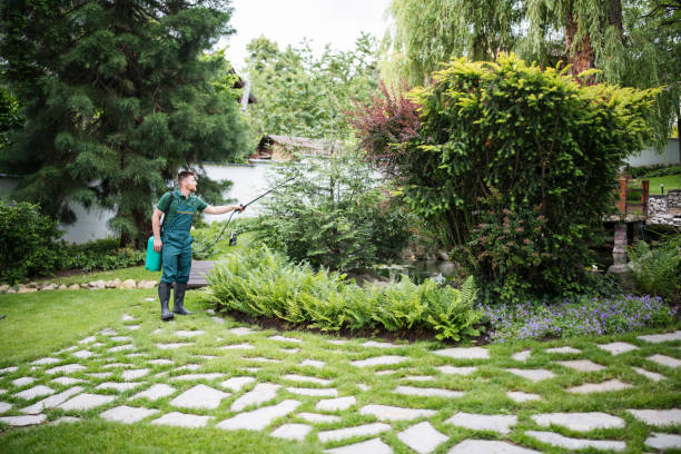Best Rat Extermination Near Me  in Taft Mosswood, CA