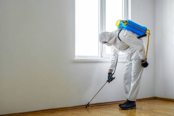 Best Bed Bug Extermination  in Taft Mosswood, CA