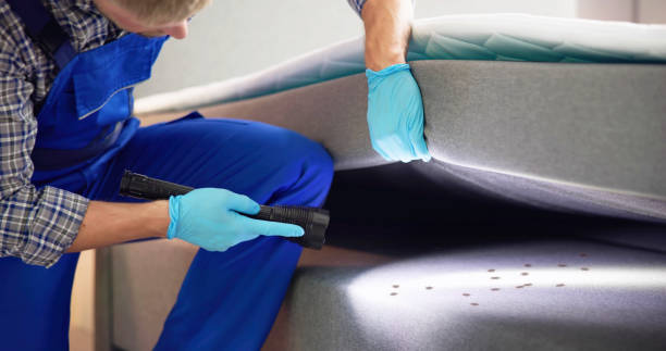 Best Rat Extermination Near Me  in Taft Mosswood, CA