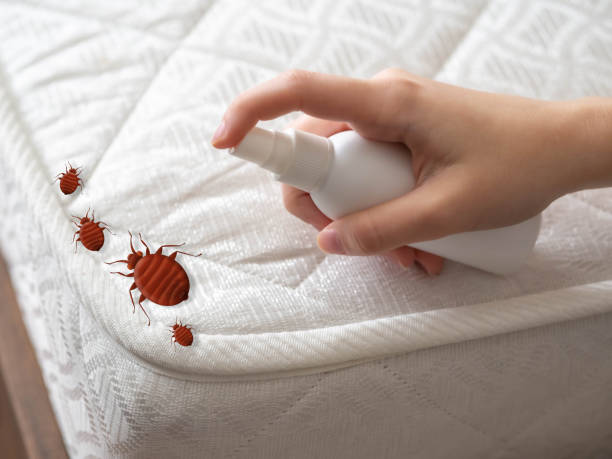 Best Affordable Pest Control Services  in Taft Mosswood, CA