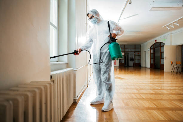 Best Termite Control Services  in Taft Mosswood, CA