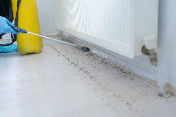 Best Pest Removal Services  in Taft Mosswood, CA