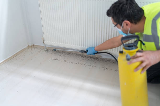 Reliable Taft Mosswood, CA Pest Control Solutions